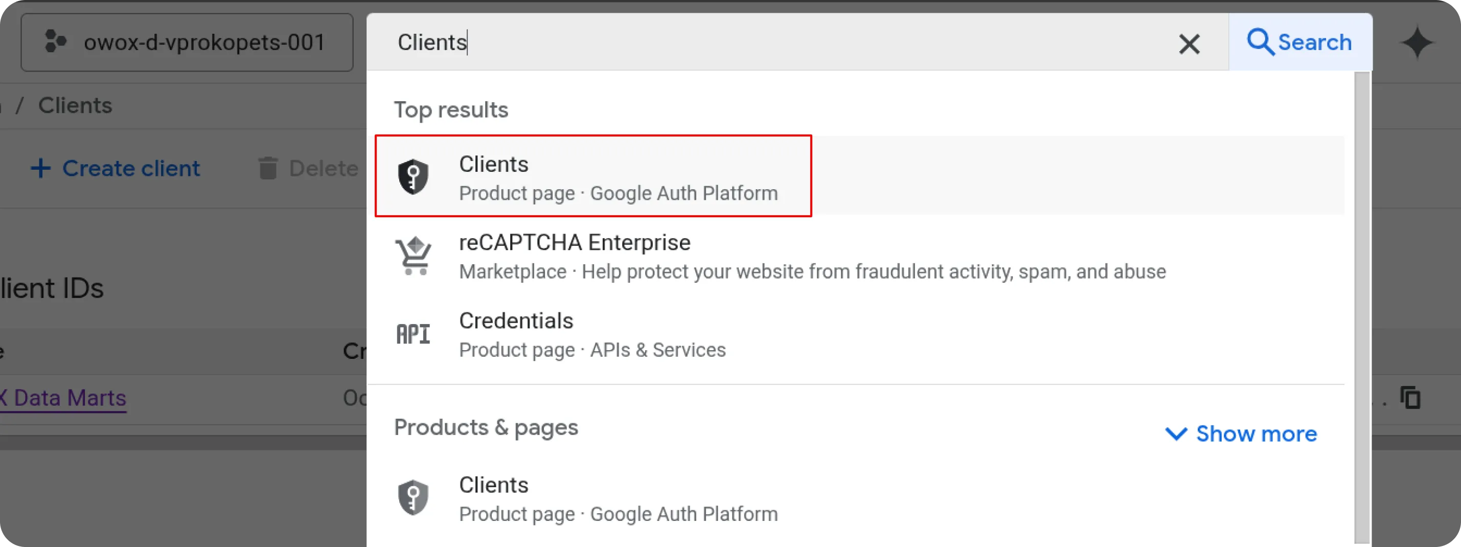 Google Ads Google Auth