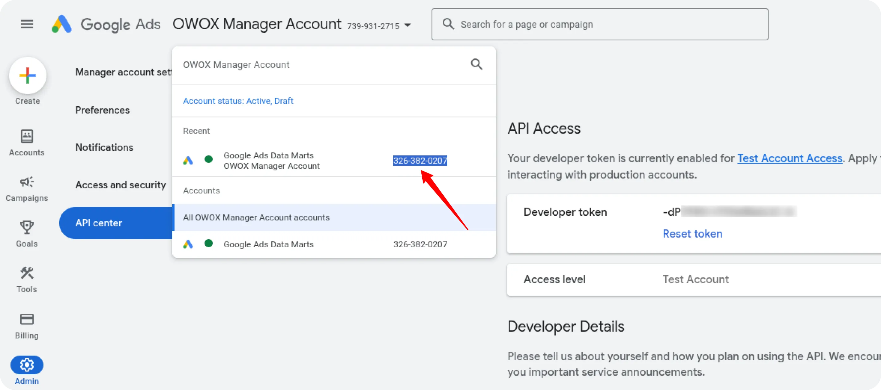 Google Ads Developer Token