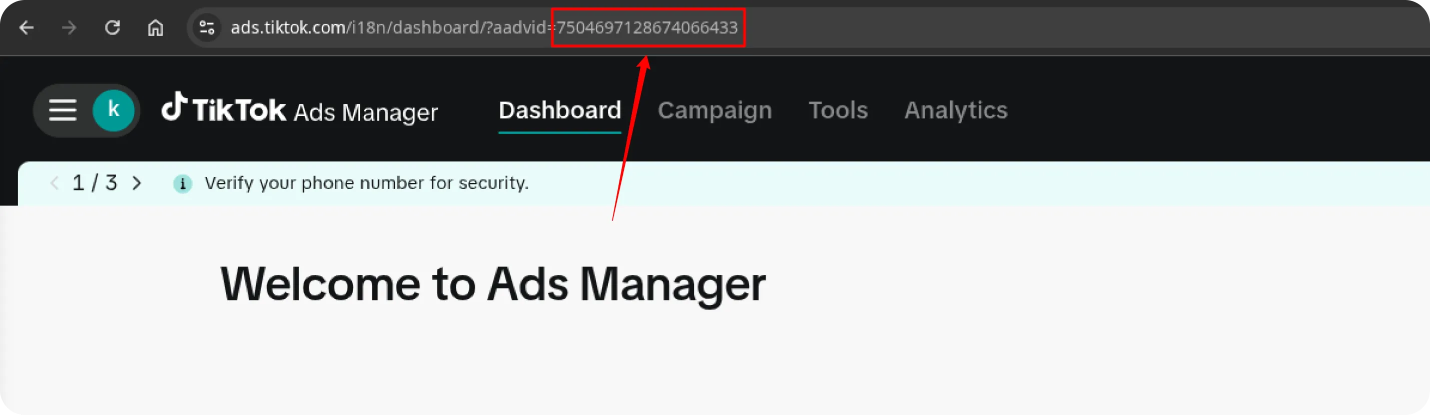 TikTok Adv ID