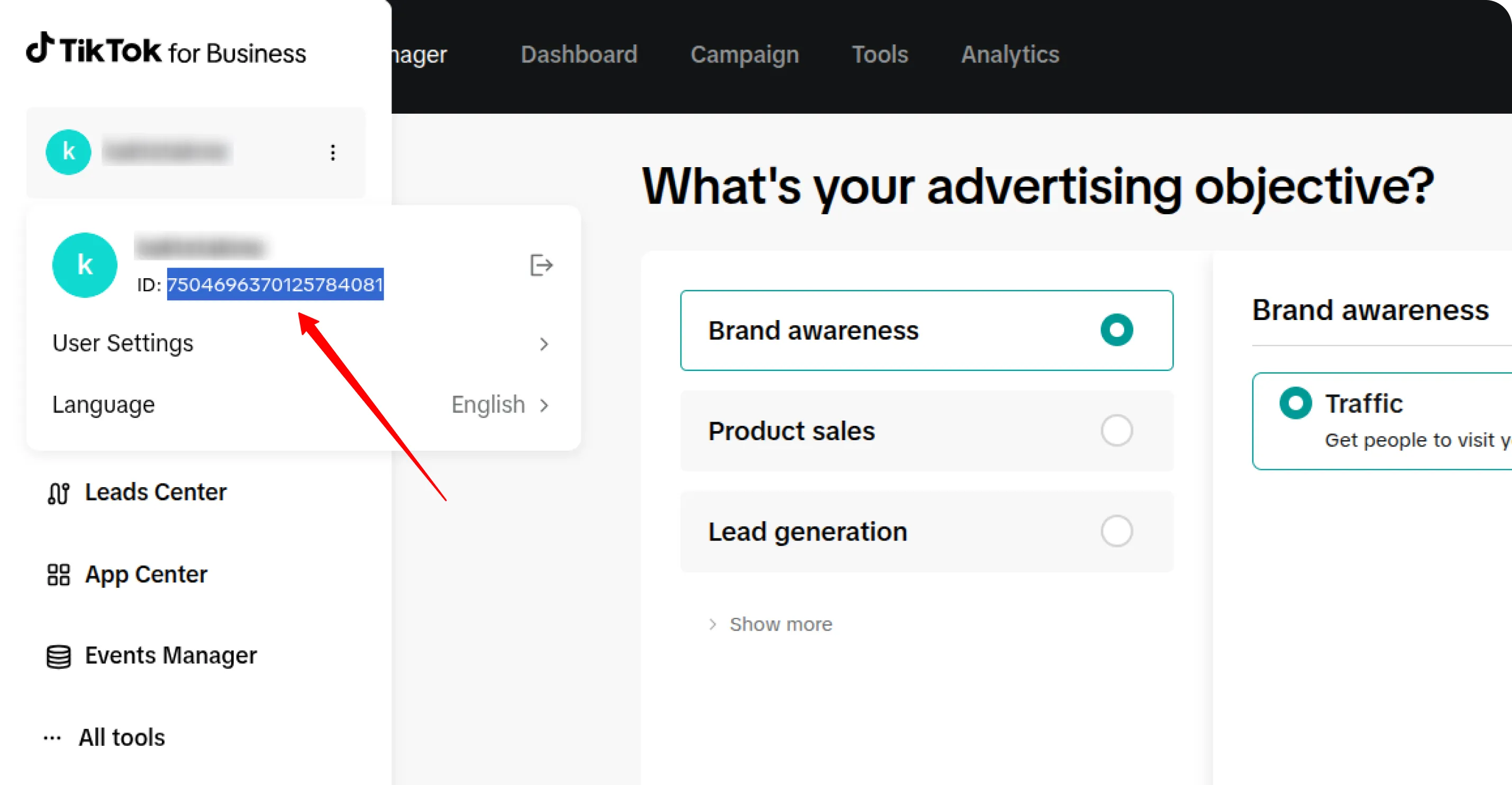 TikTok Advertiser ID